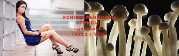 прущая мука Кинешма