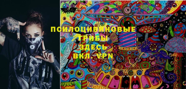 прущая мука Кинешма